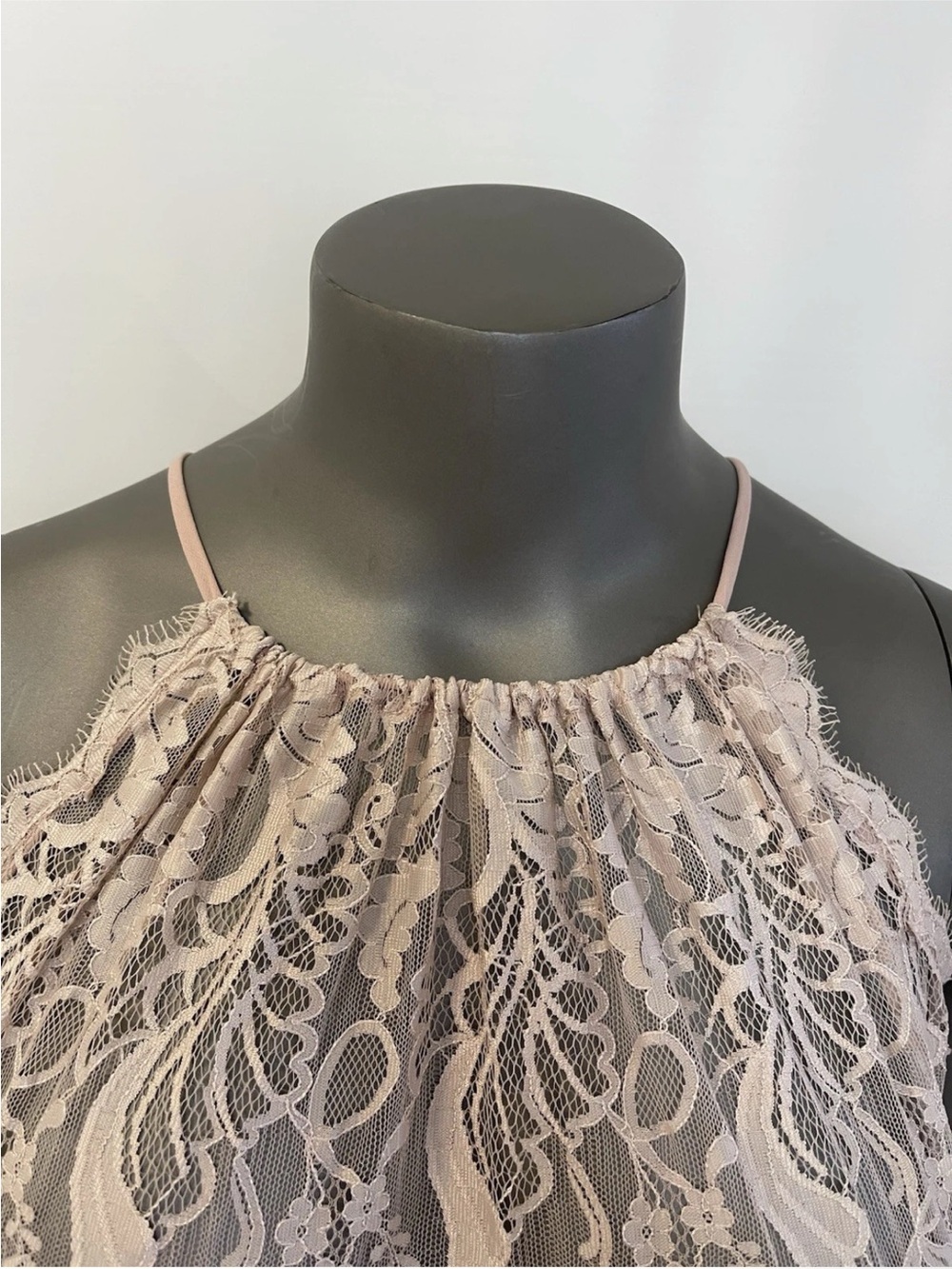 Hailey Paige Dress Women’s 16 5861-M Dusty Rose Lace Chiffon Long Full Long Prom - Picture 6 of 16